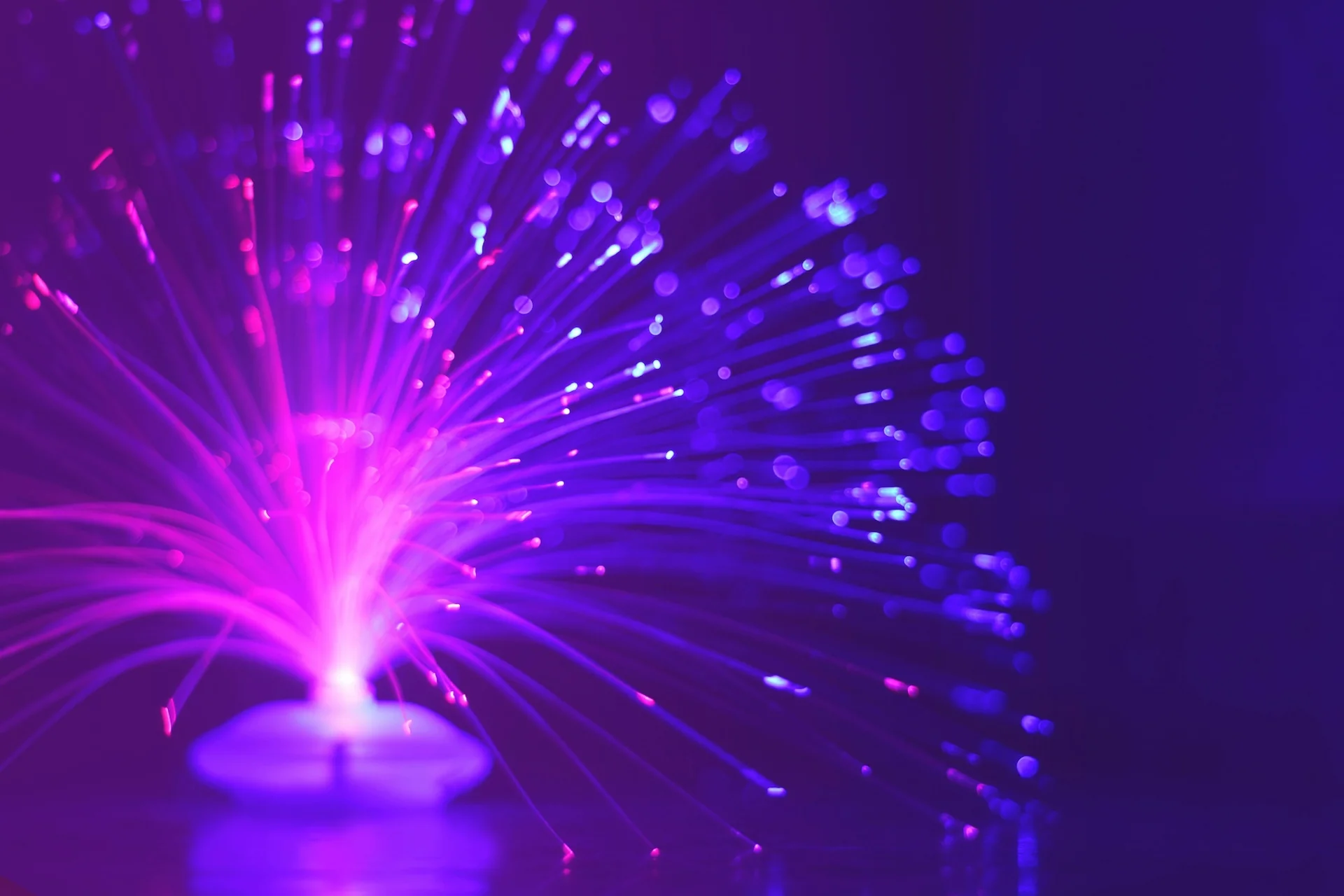 Fiber Optics Services 