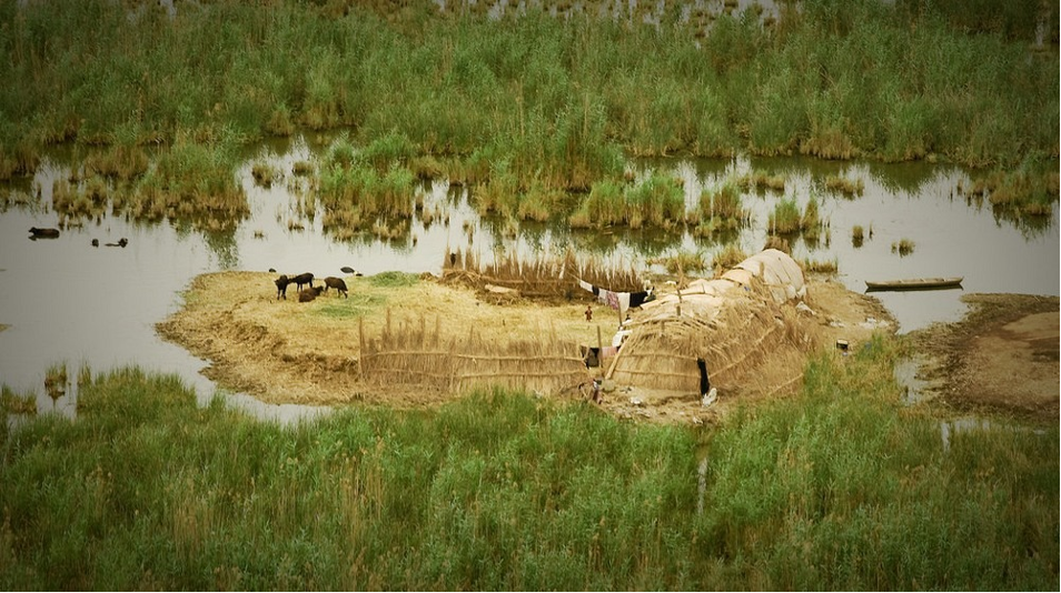 al-salibiat-marsh-environmental-and-social-struggles-in-iraqs-marshlands