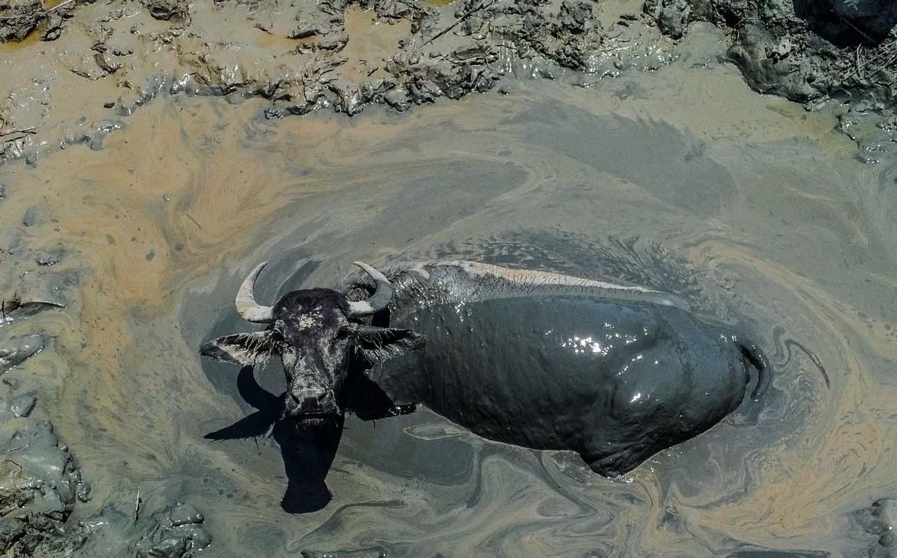 Rising Temperatures and Heatwaves