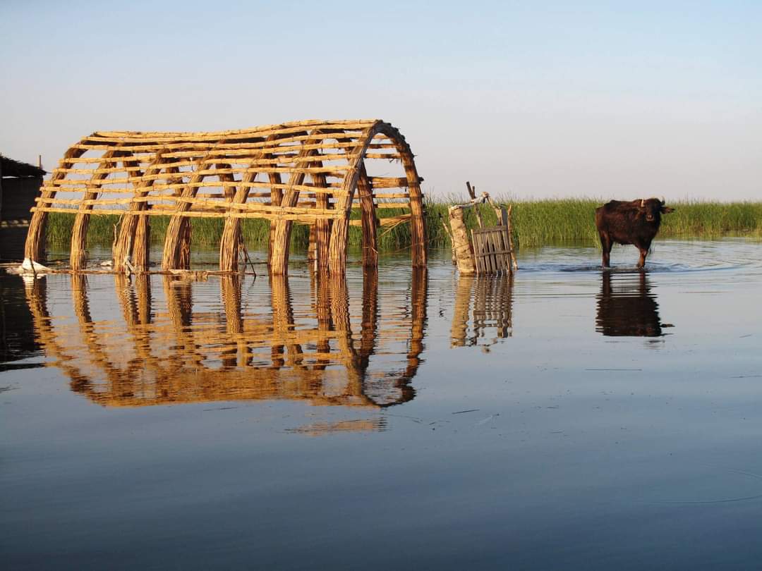 Impact on Environment and Society