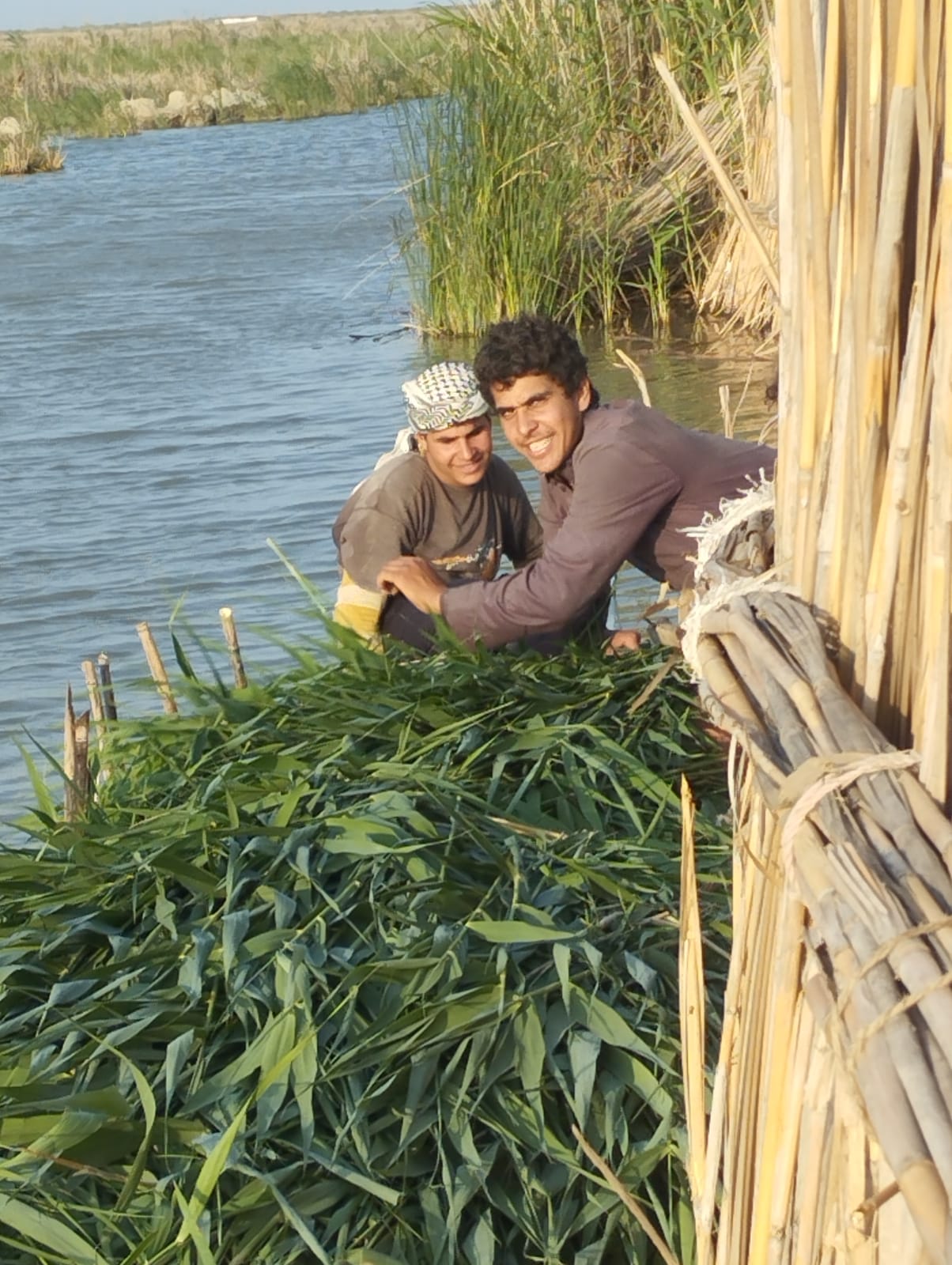 Humanitarian and Security Concerns