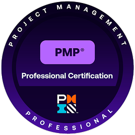 Project Management Professionals (PMP)