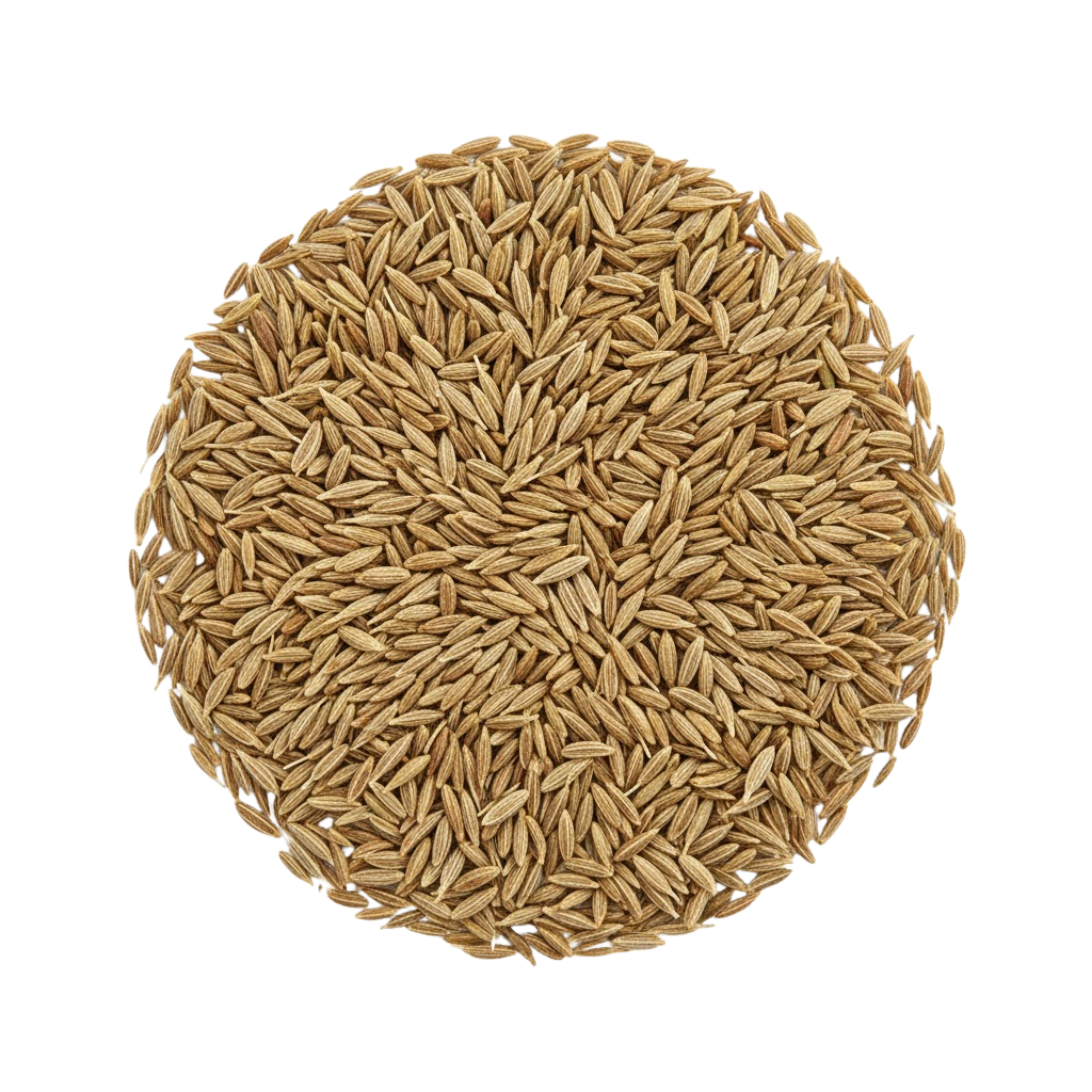 CUMIN ENTIÈRE.png