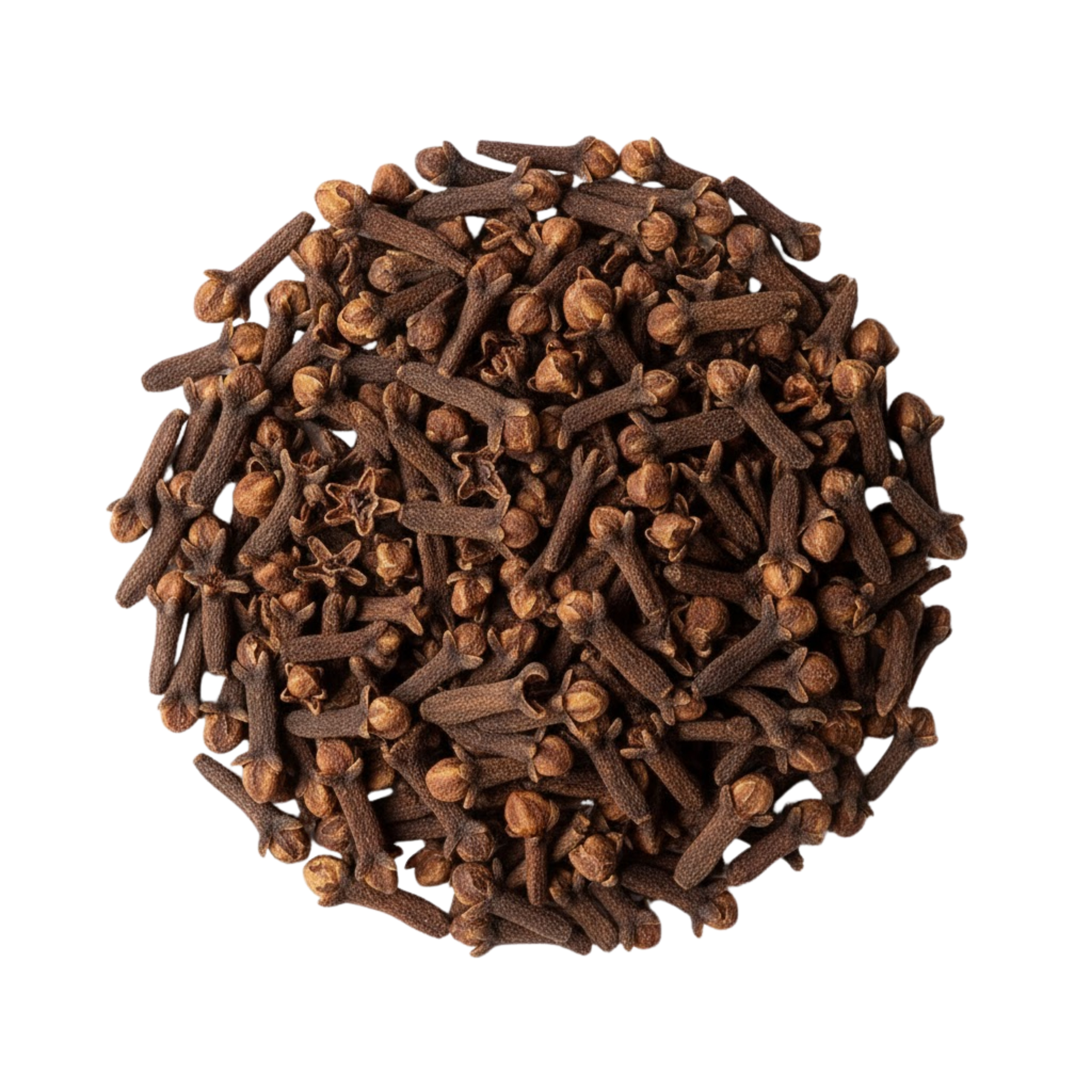 CLOU DE GIROFLE ENTIER.png