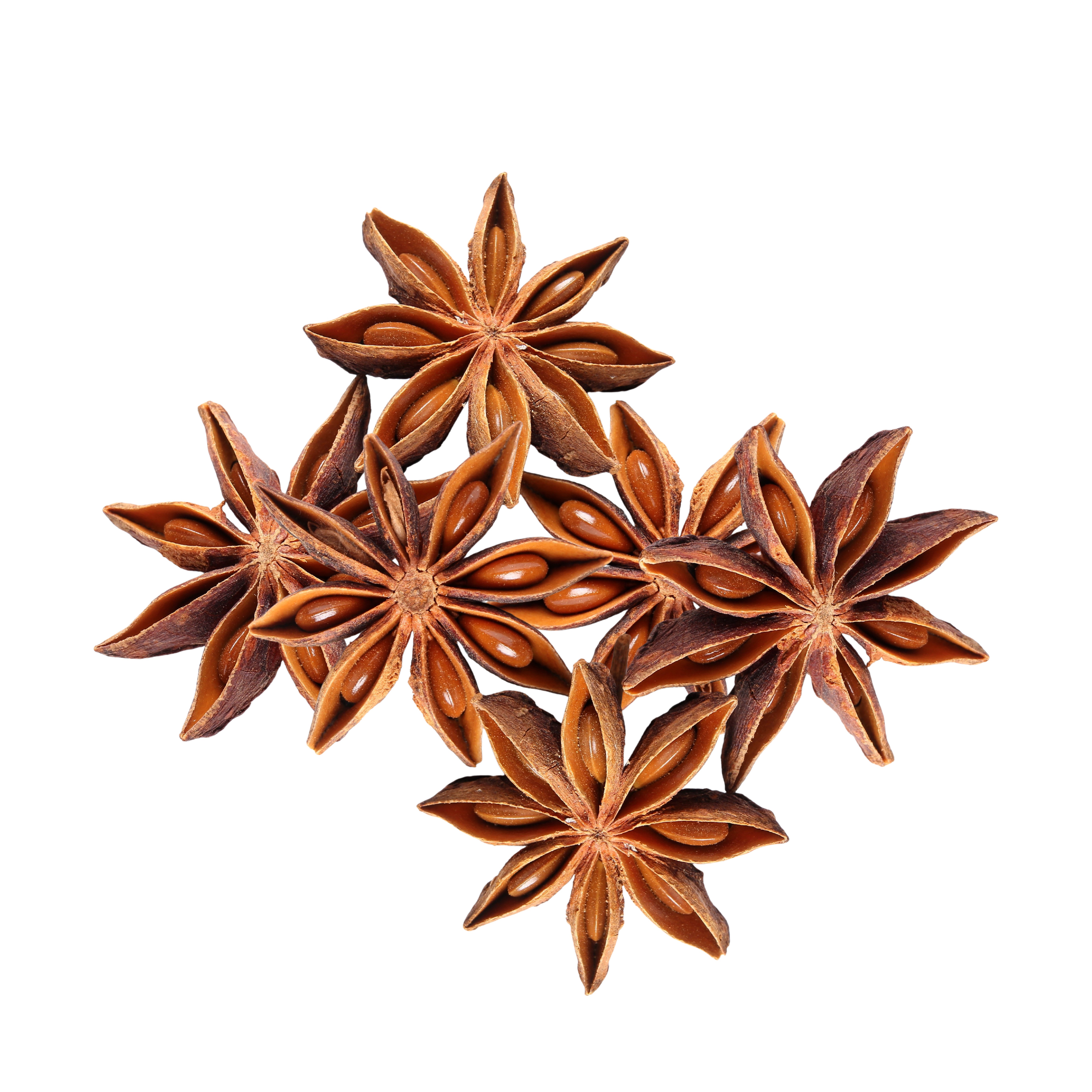 ANIS ÉTOILE ENTIER.png