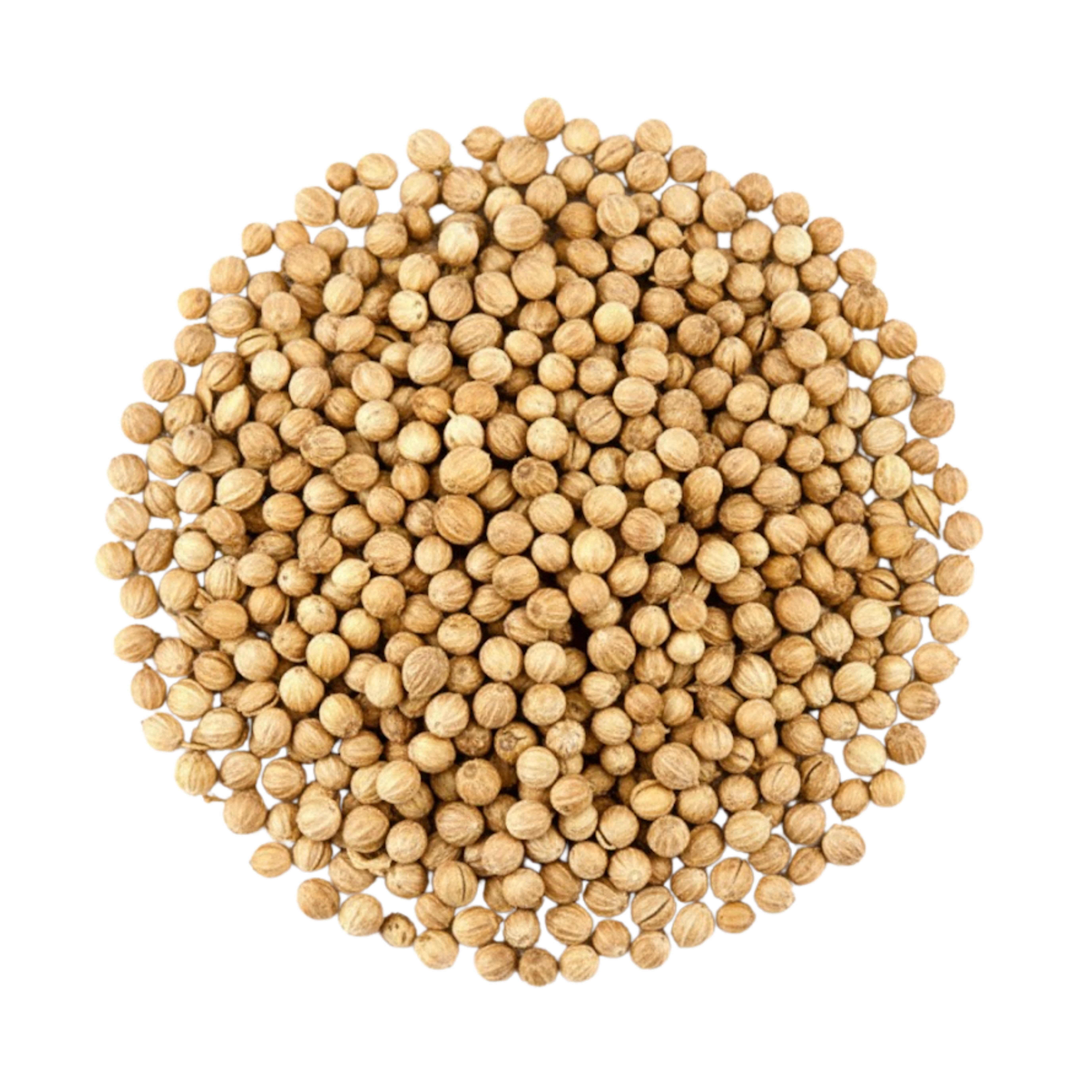 CORIANDRE ENTIÈRE.png